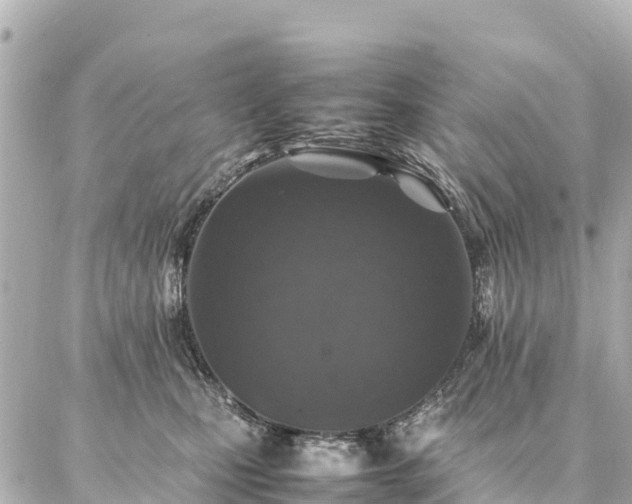 X0000087060471200704251034