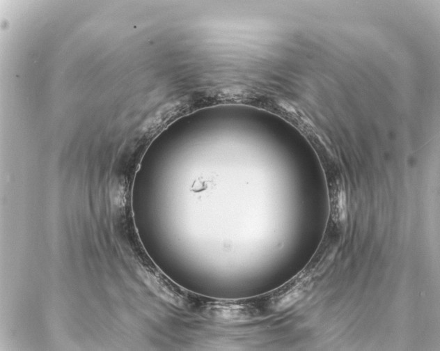 X0000087060472200704251034