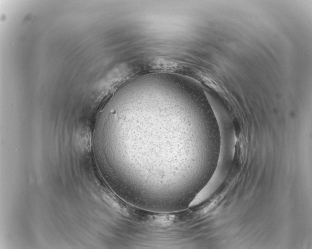 X0000087060474200704251034