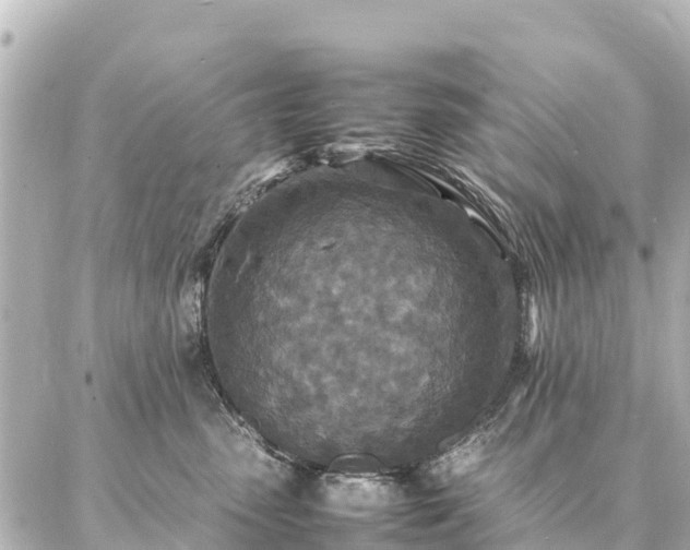 X0000087060475200704251034