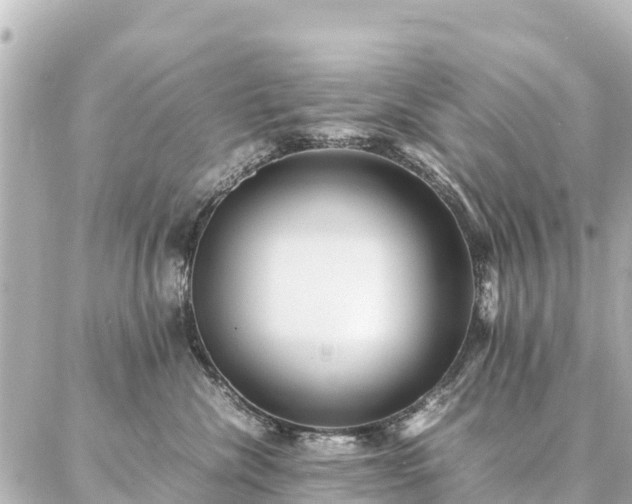 X0000087060476200704251034