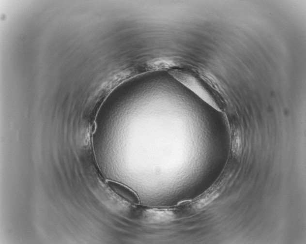 X0000087060477200704251034