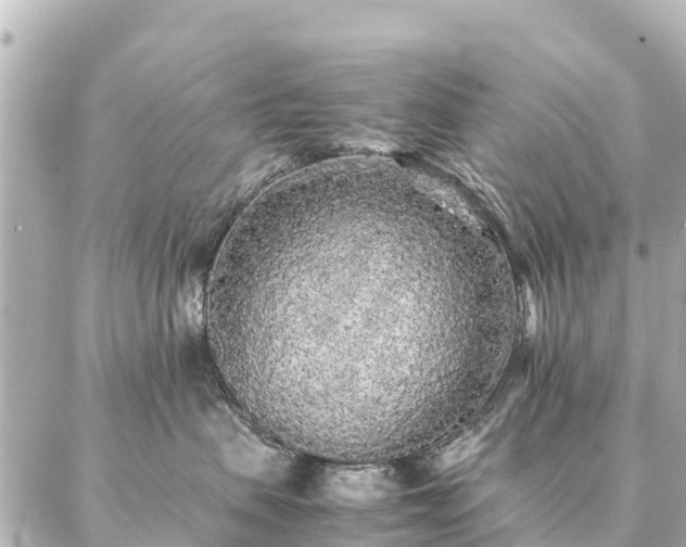 X0000087060479200704251034