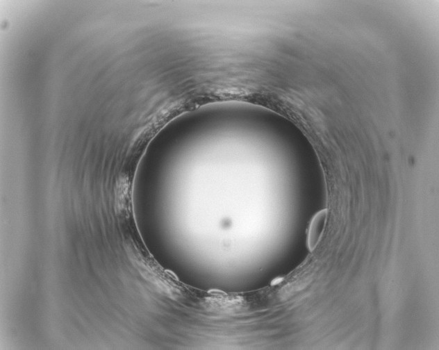 X0000087060480200704251034