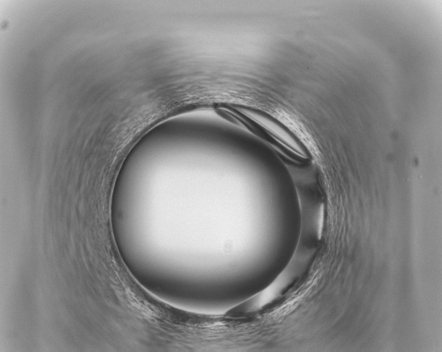 X0000087060481200704251033