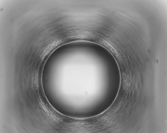 X0000087060482200704251033