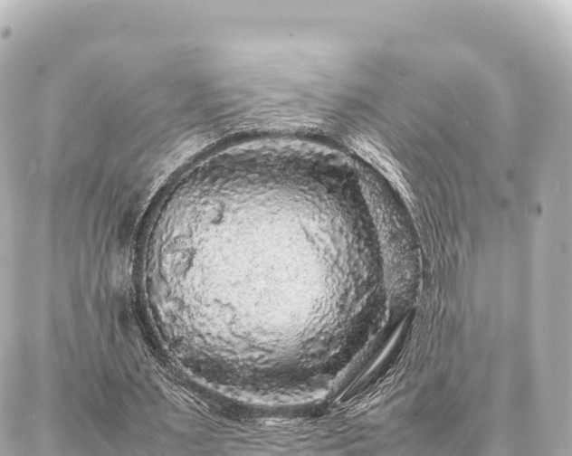 X0000087060483200704251033