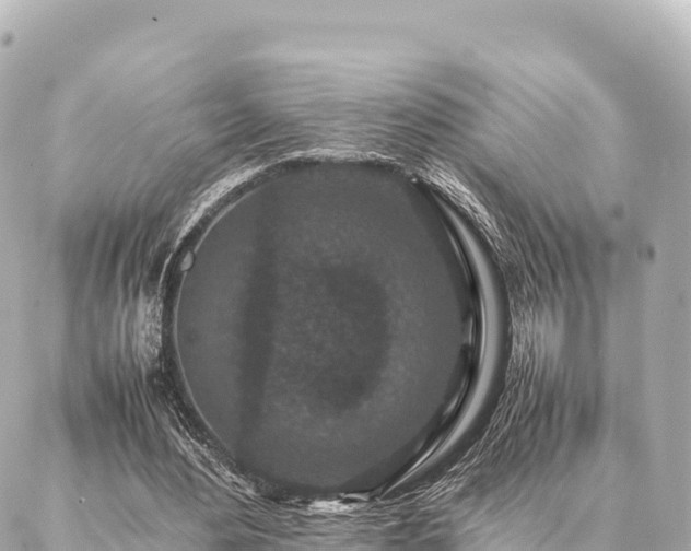 X0000087060484200704251033