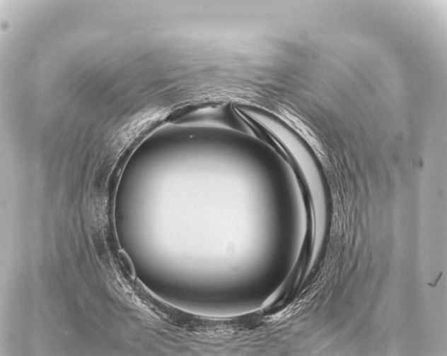 X0000087060485200704251033