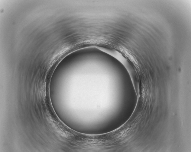 X0000087060486200704251033