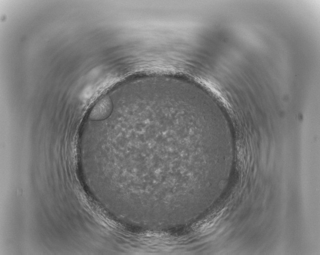 X0000087060487200704251033