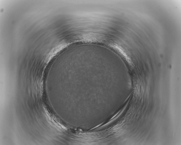 X0000087060488200704251033