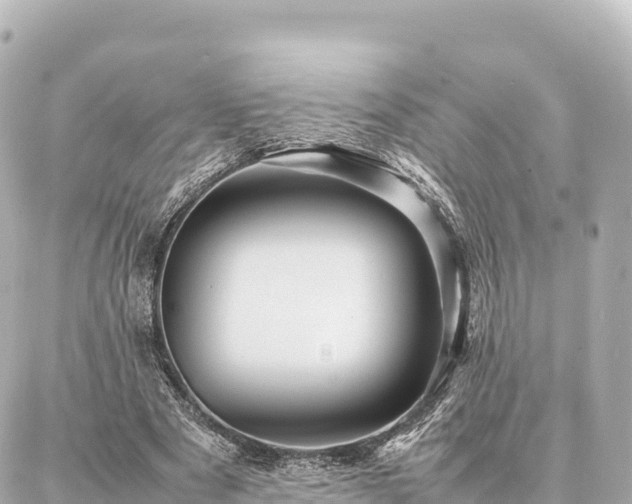 X0000087060489200704251033