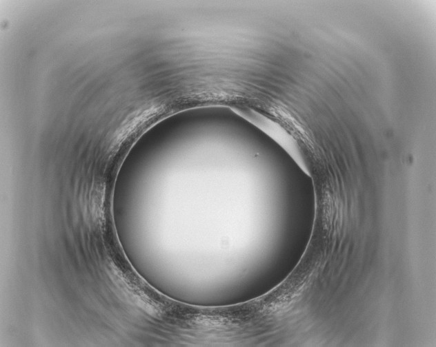 X0000087060490200704251033