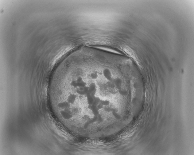 X0000087060491200704251033