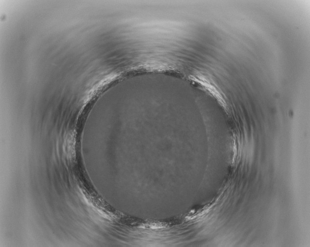 X0000087060492200704251033