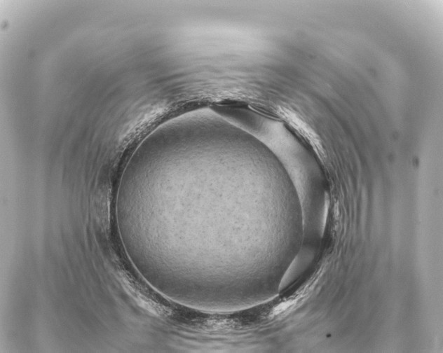 X0000087060493200704251033