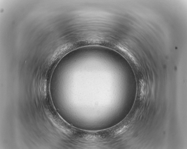 X0000087060494200704251033