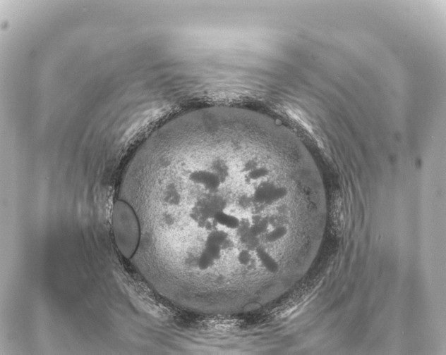 X0000087060495200704251033