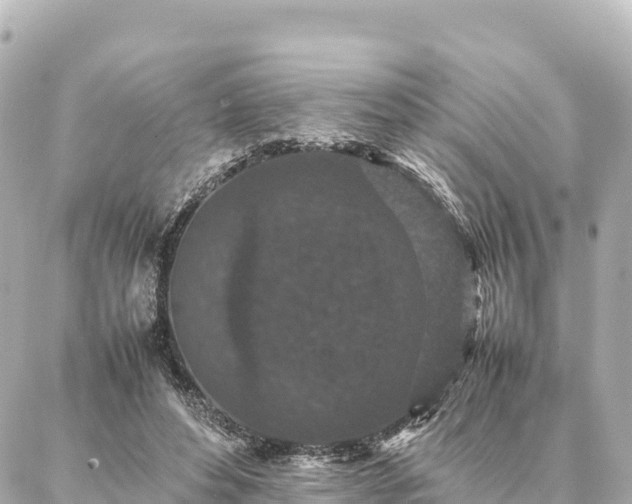 X0000087060496200704251033