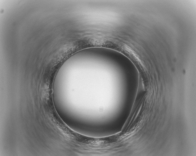 X0000087060497200704251033