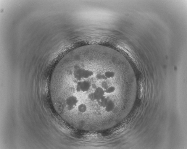 X0000087060499200704251033