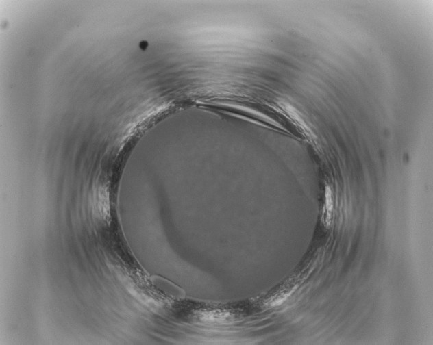 X0000087060500200704251033