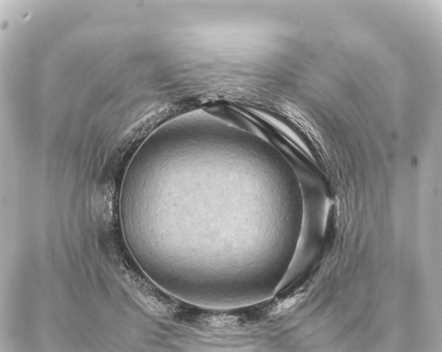 X0000087060501200704251033