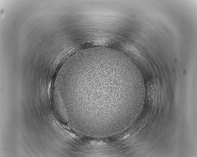 X0000087060502200704251033