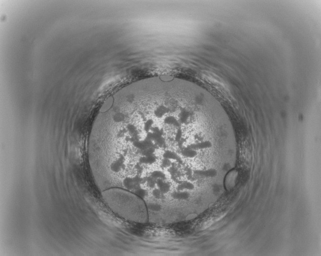 X0000087060503200704251033