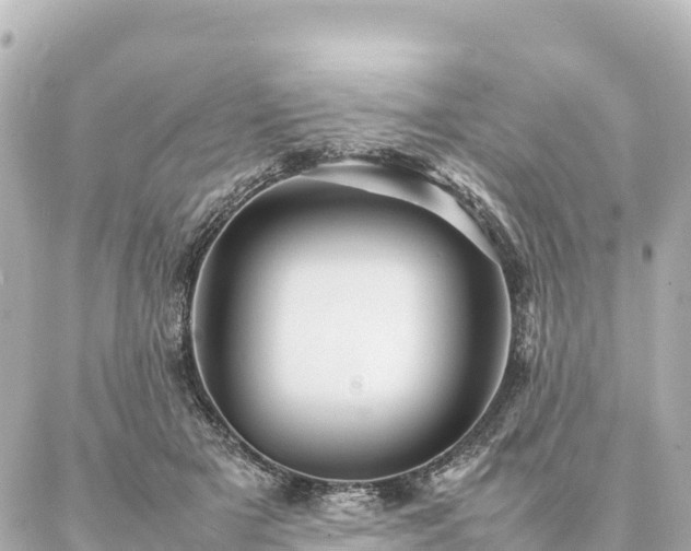 X0000087060505200704251032