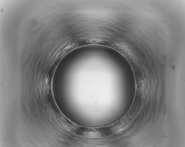 X0000087060506200704251032