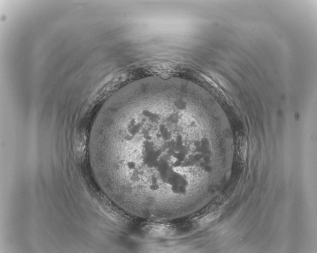 X0000087060507200704251032