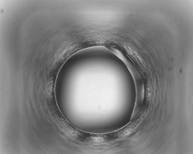 X0000087060509200704251032