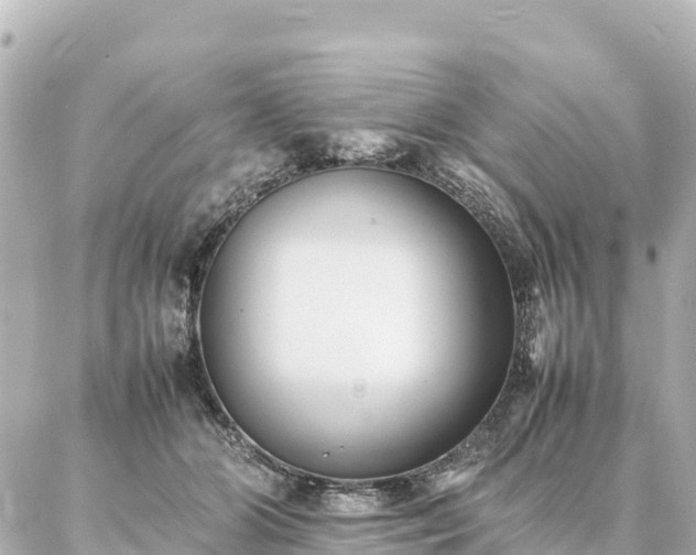 X0000087060510200704251032