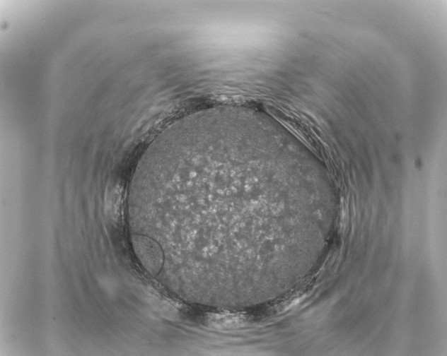 X0000087060511200704251032