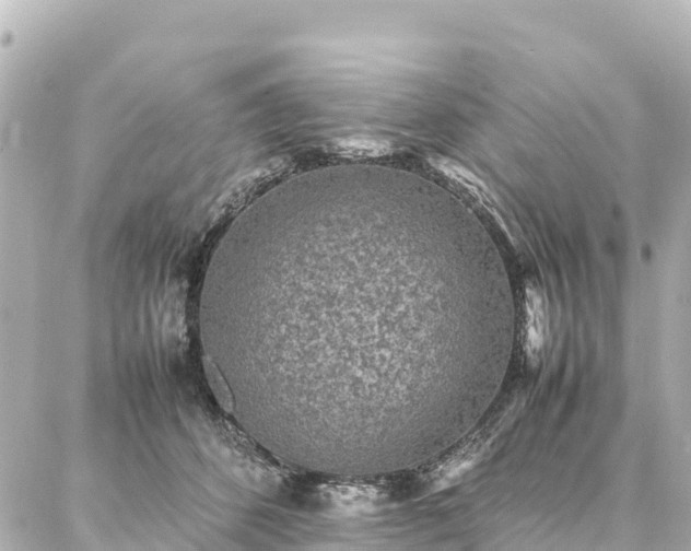 X0000087060512200704251032