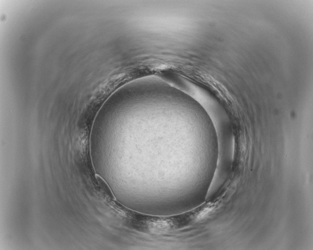 X0000087060513200704251032