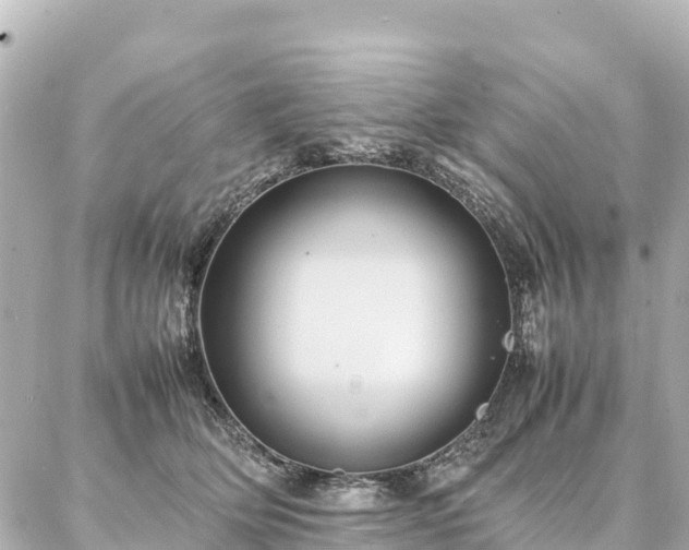 X0000087060514200704251032