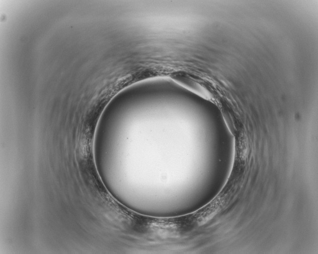 X0000087060515200704251032