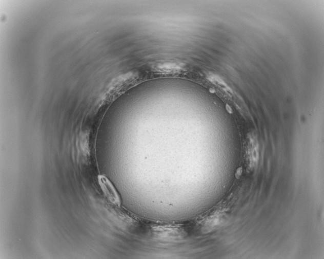 X0000087060516200704251032