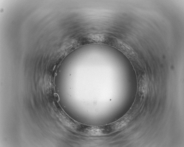 X0000087060518200704251032