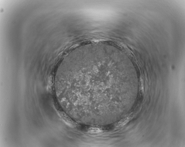 X0000087060519200704251032