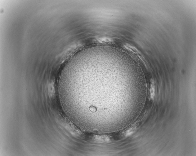 X0000087060520200704251032