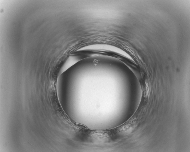 X0000087060521200704251032