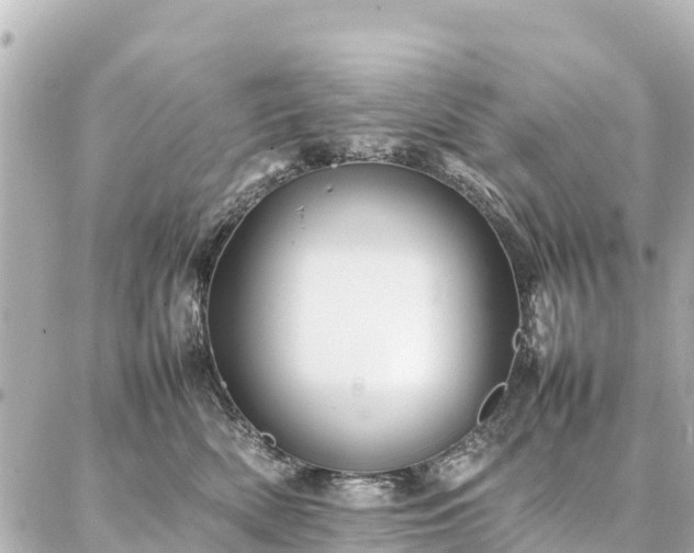 X0000087060522200704251032