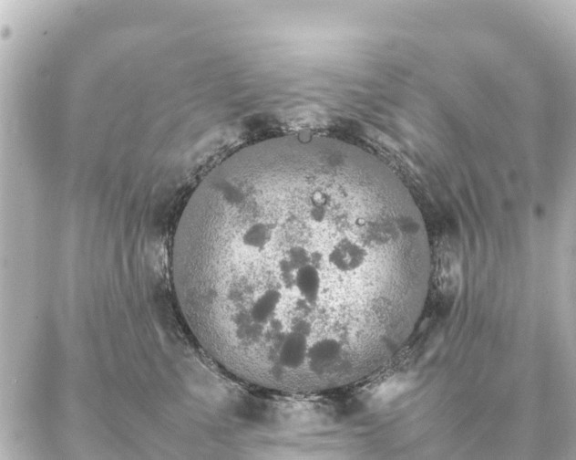 X0000087060523200704251032