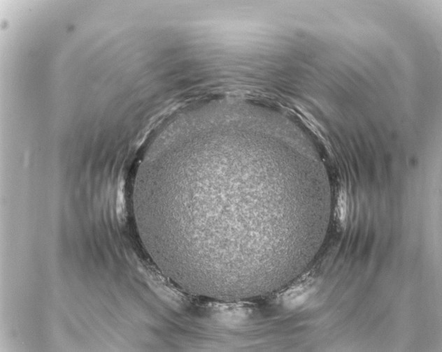 X0000087060524200704251032