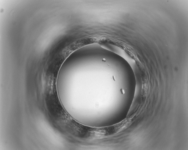 X0000087060525200704251032