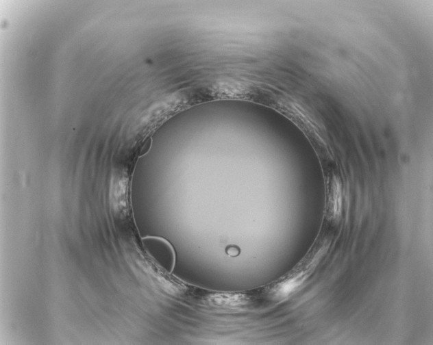 X0000087060526200704251032